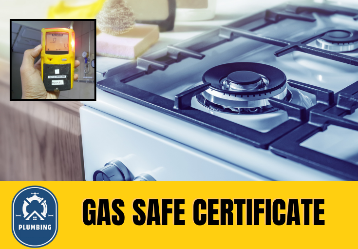 gas safe certificate Tonbridge